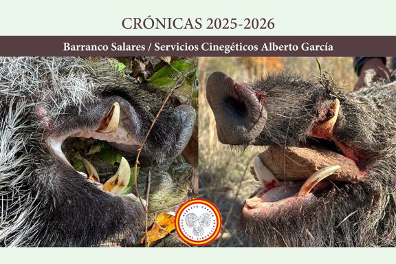 en Barranco Salares jabalíes