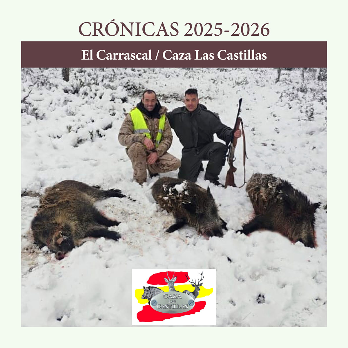 en El Carrascal jabalíes