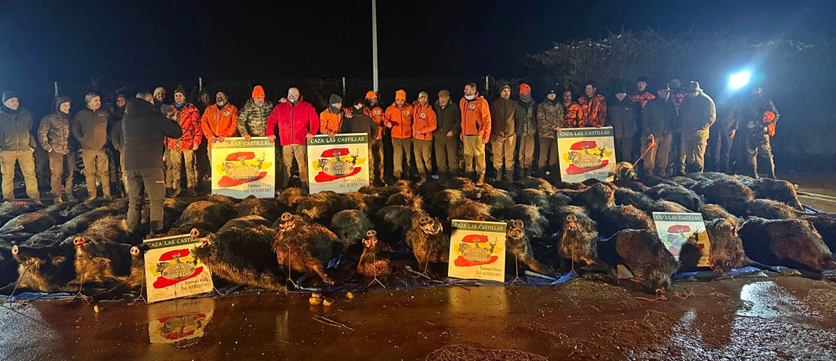 en El Carrascal jabalíes