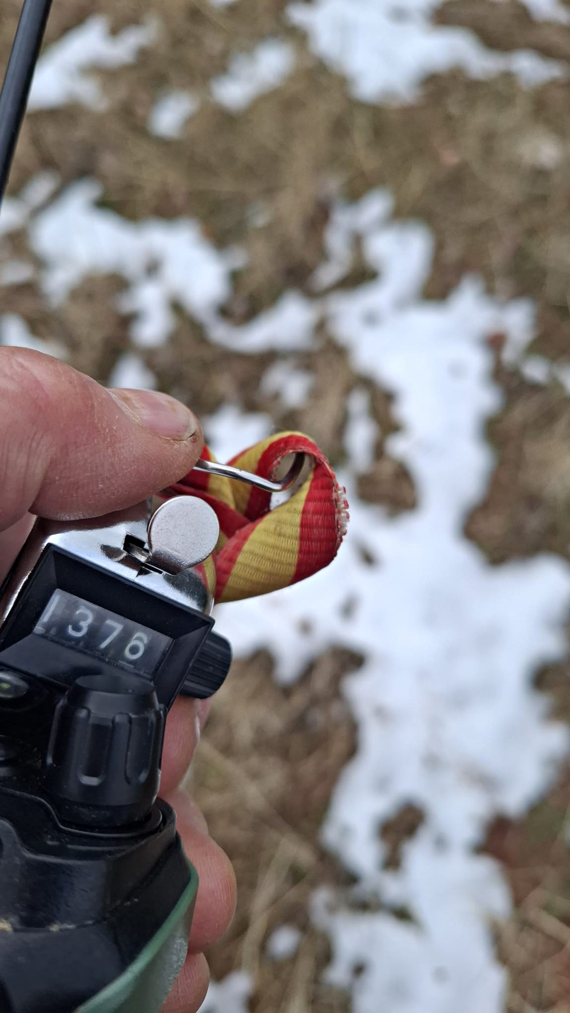 en El Carrascal jabalíes