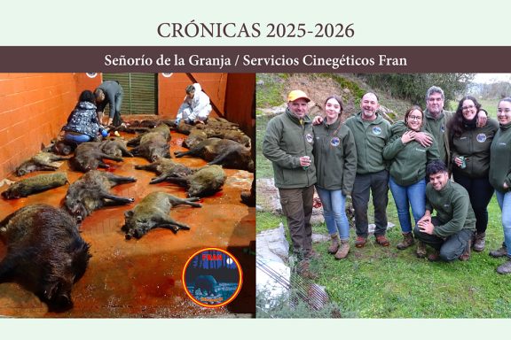 en el Señorío jabalíes
