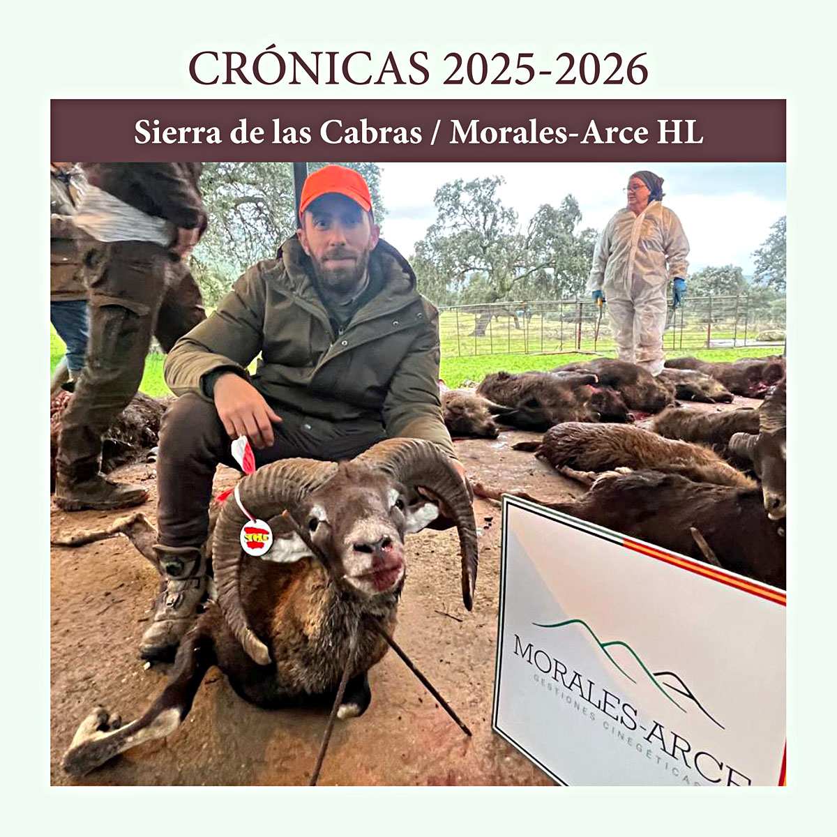 las Cabras montería