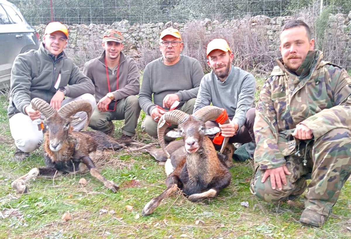 las Cabras montería