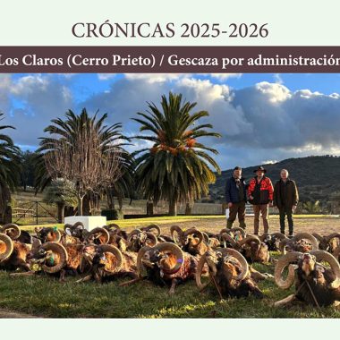 los muflones Gescaza