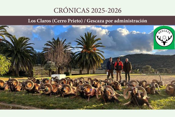 los muflones Gescaza