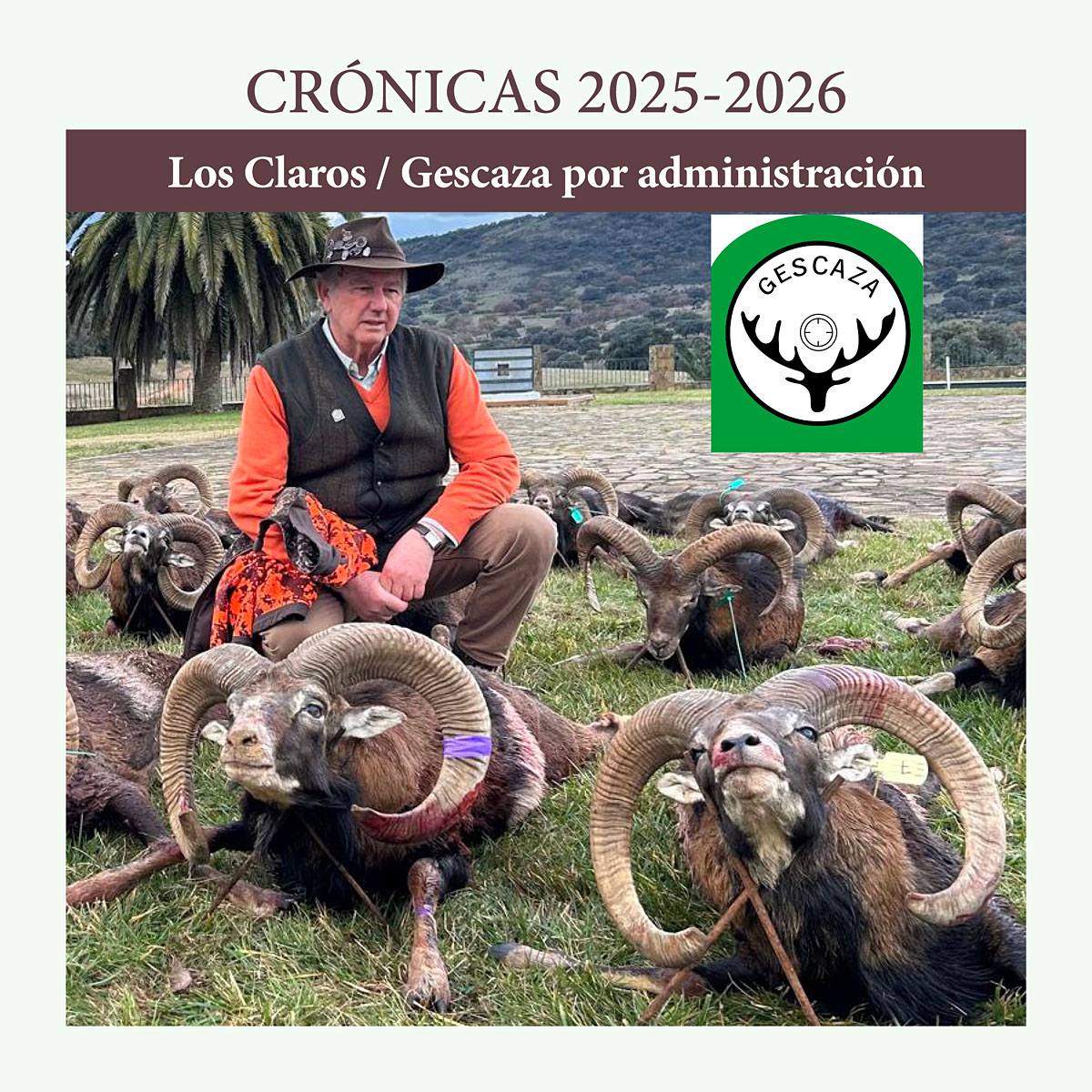 los muflones Gescaza