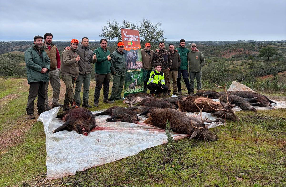 Las Grullas montería