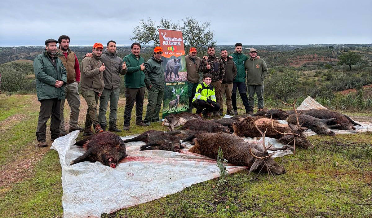 Las Grullas montería