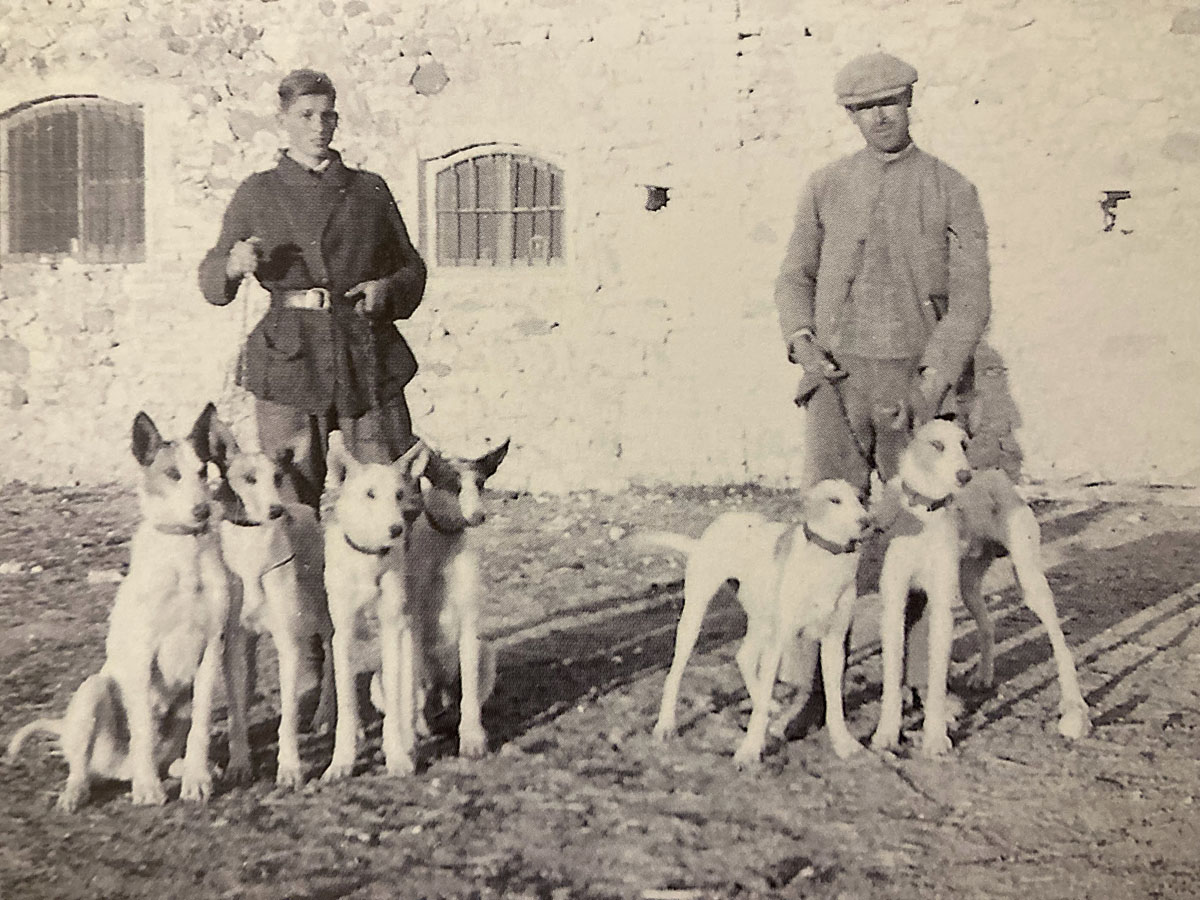 Reflexión y rehala