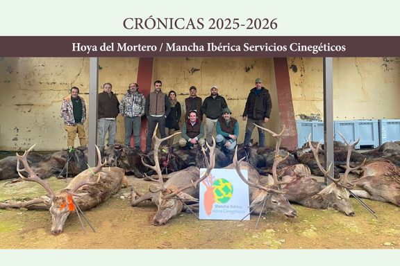 con Mancha Ibérica montería