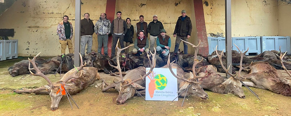 con Mancha Ibérica montería