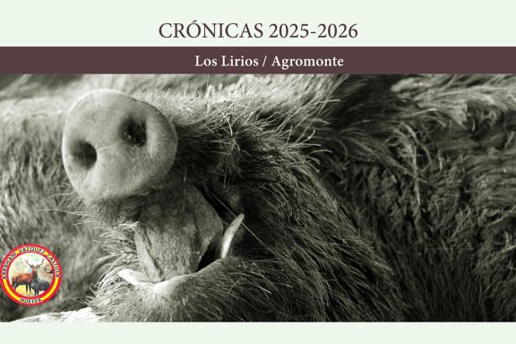 de Los Lirios montería