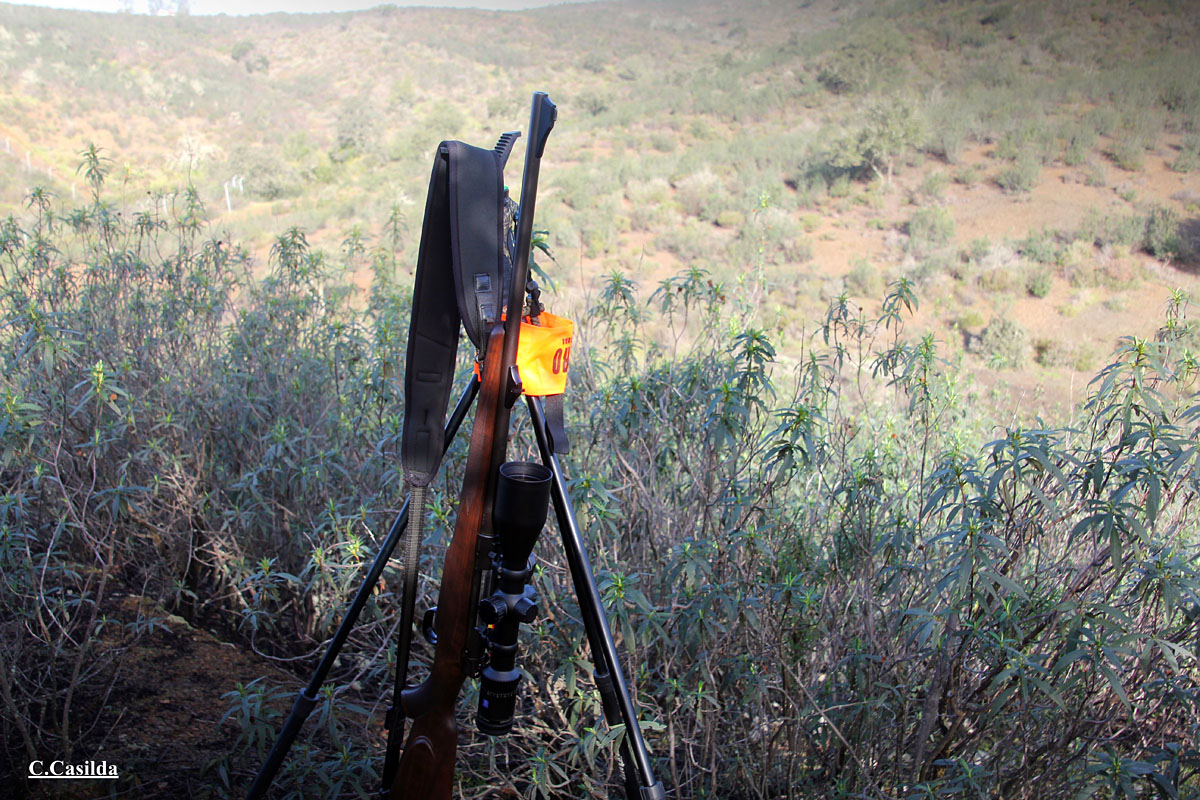 de Los Lirios montería