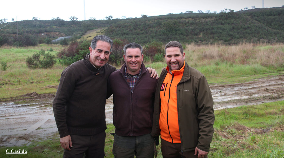 de Los Lirios montería