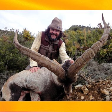 Cazando España Solitario