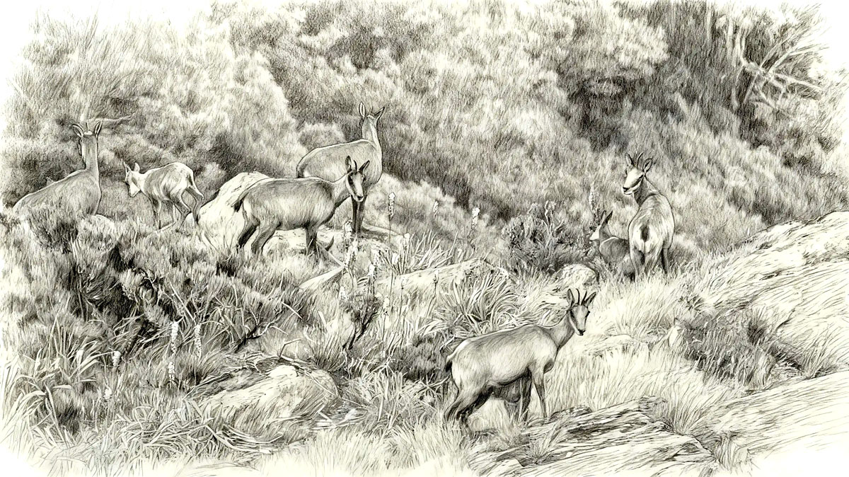 Cuéntame un cuento