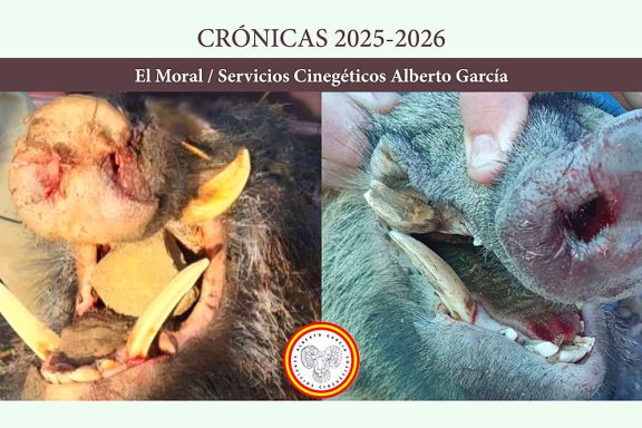 El Moral SC Alberto García