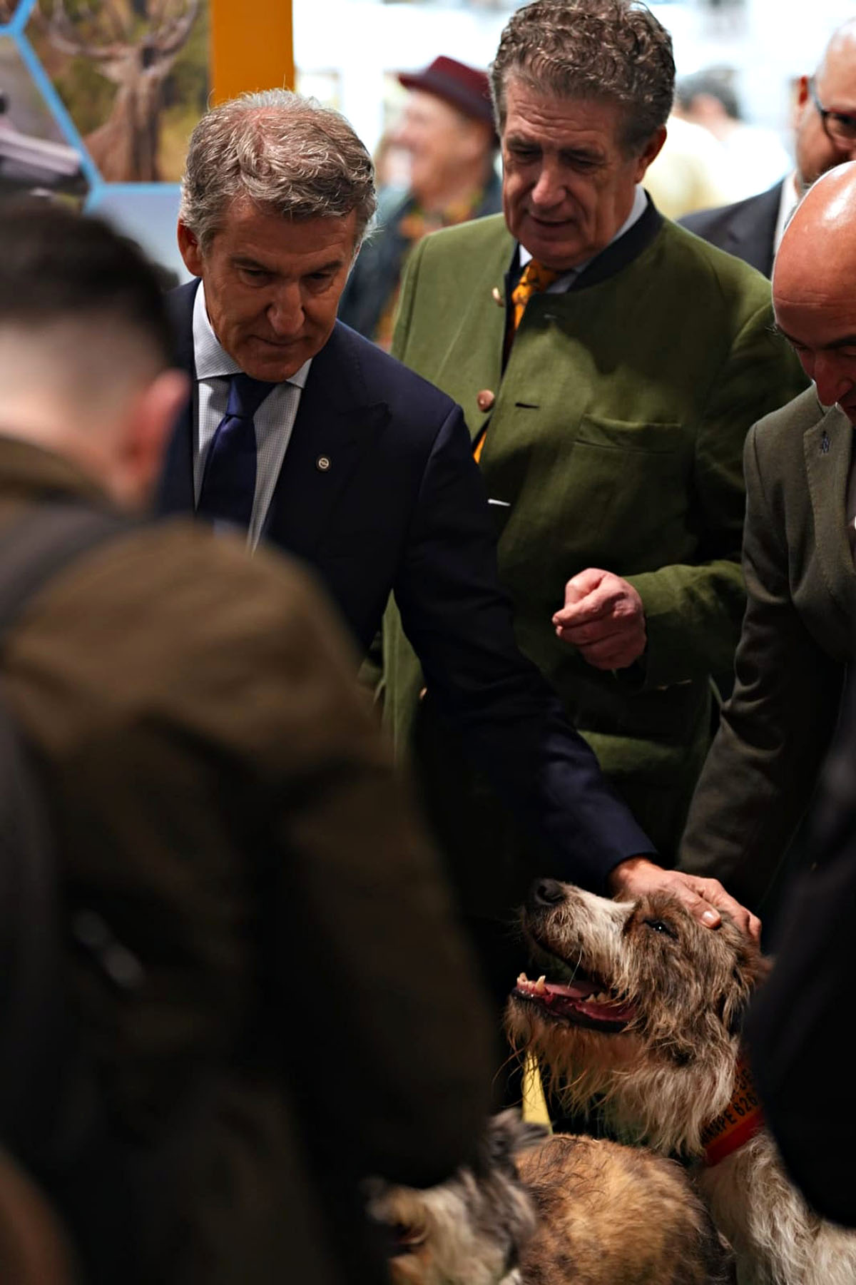 Feijóo Cinegética SCI