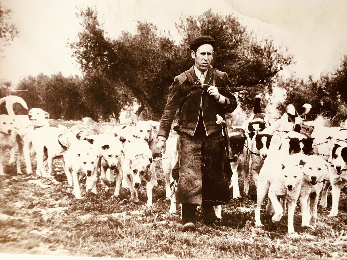 de las rehalas perros