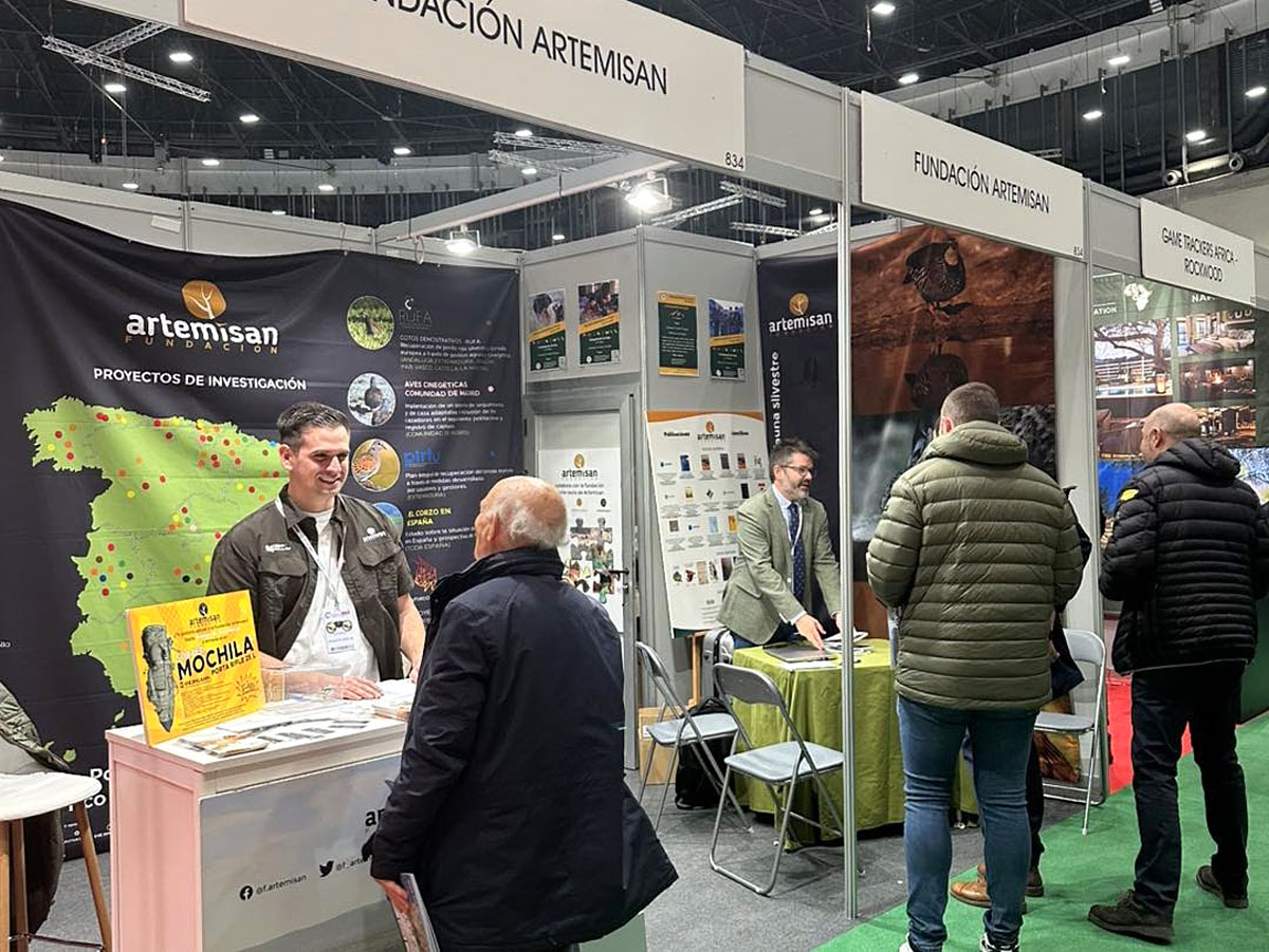 en Cinegética Caza