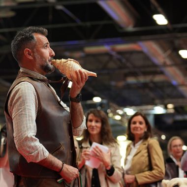 éxito y Cinegética SCI