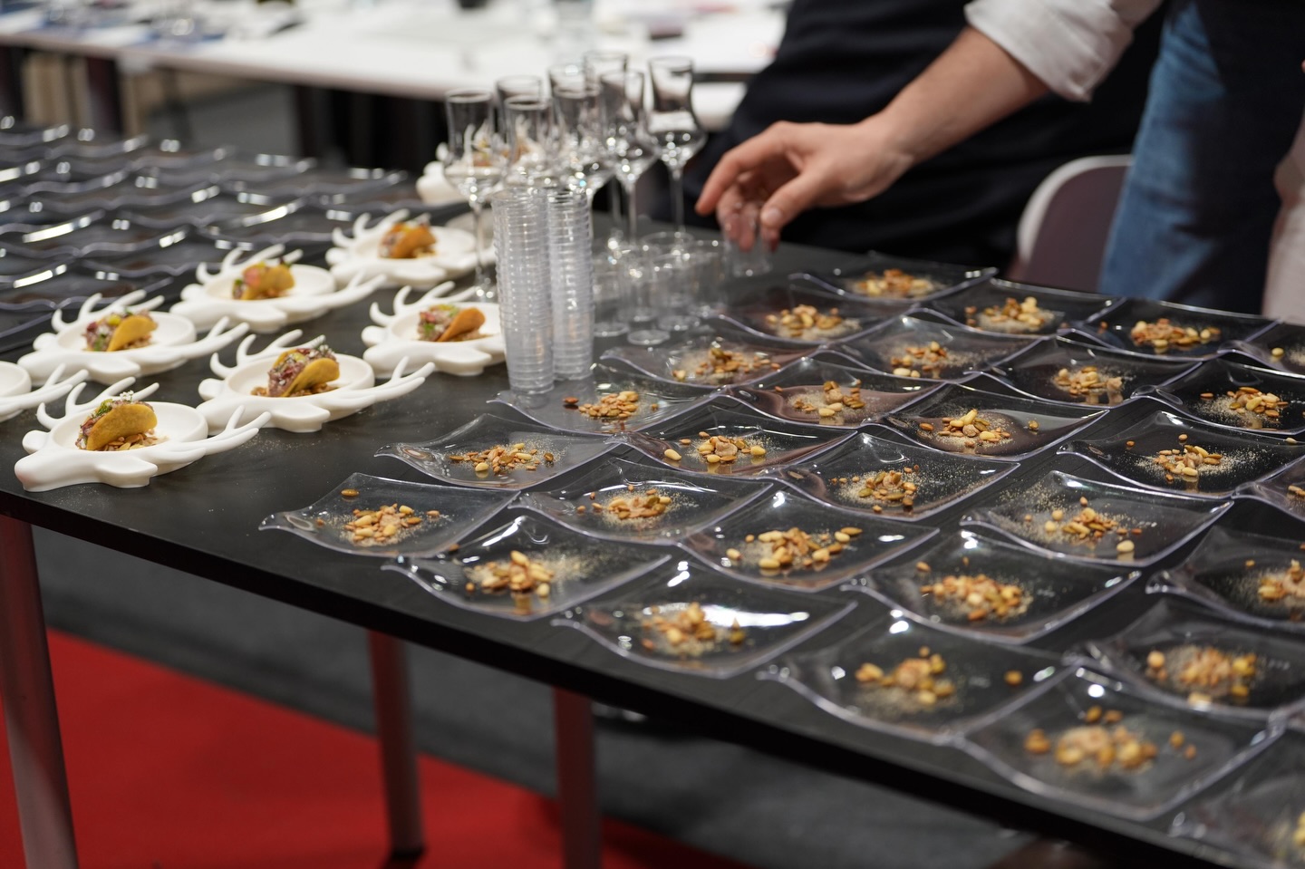 éxito y Cinegética SCI