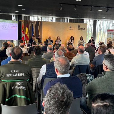 por cazadores codorniz