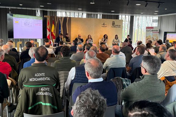 por cazadores codorniz