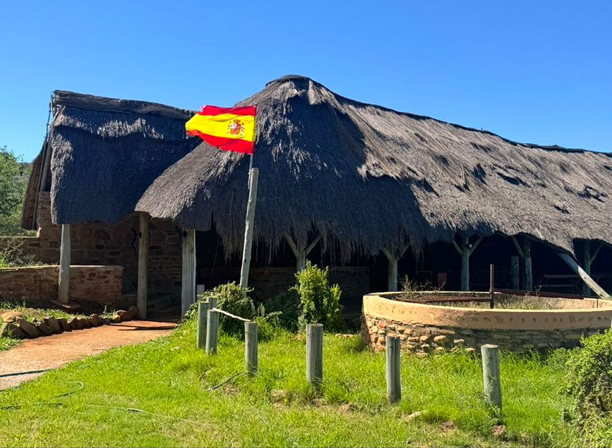 Bandera, guerra y paz