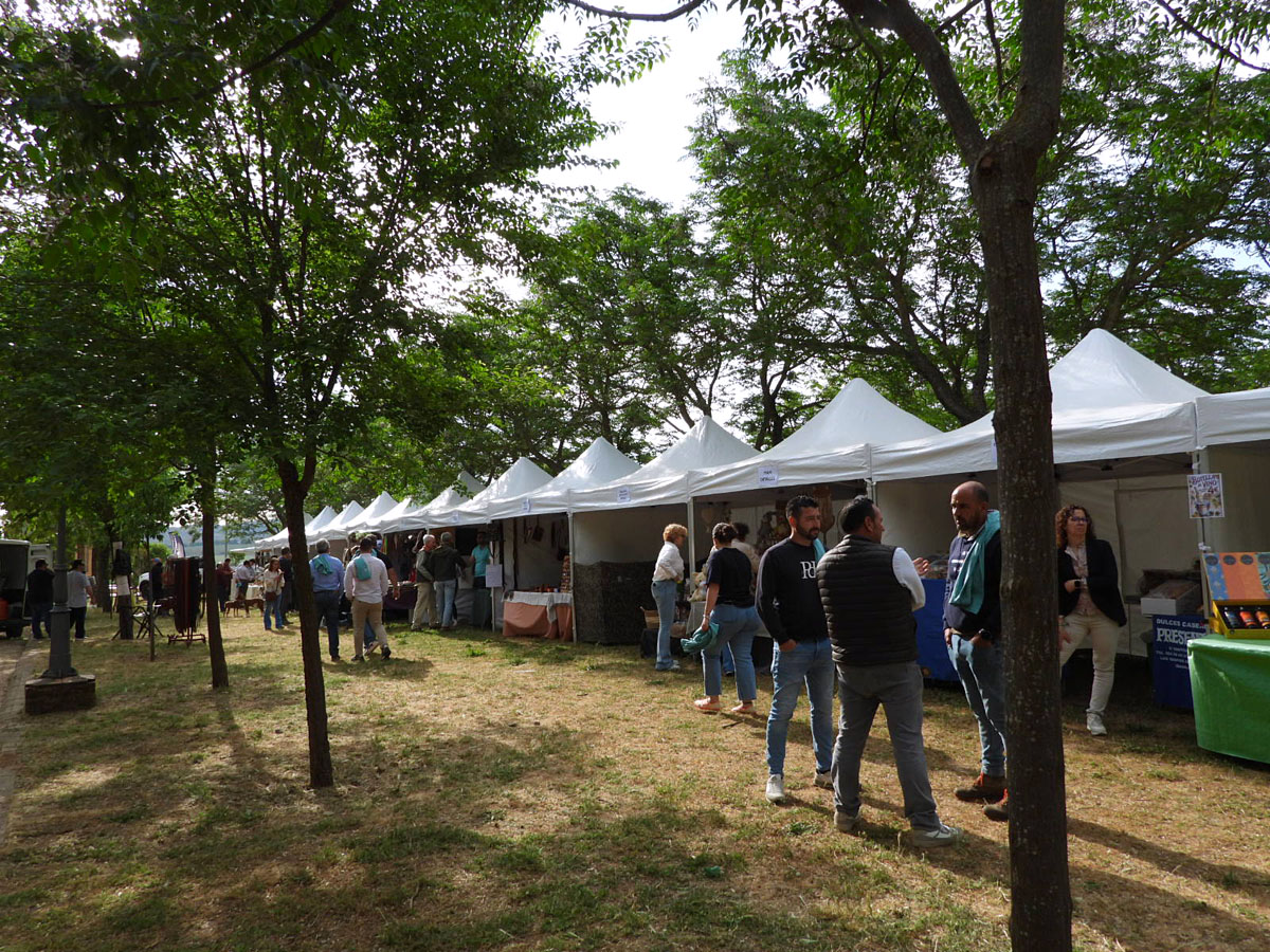 Día del Cazador Caza