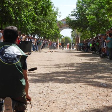 Día del Cazador Caza