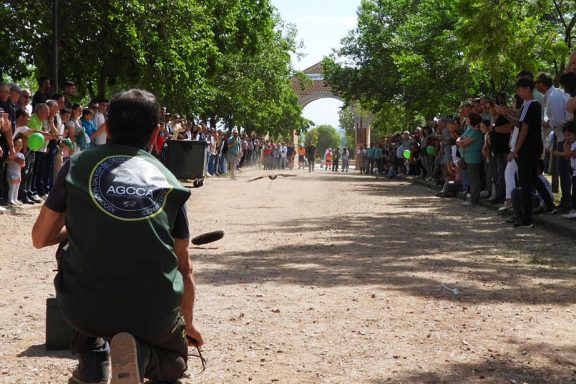 Día del Cazador Caza