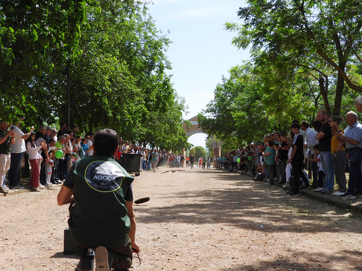 Día del Cazador Caza