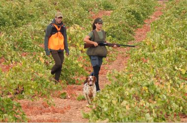 de adiestramiento de Caza