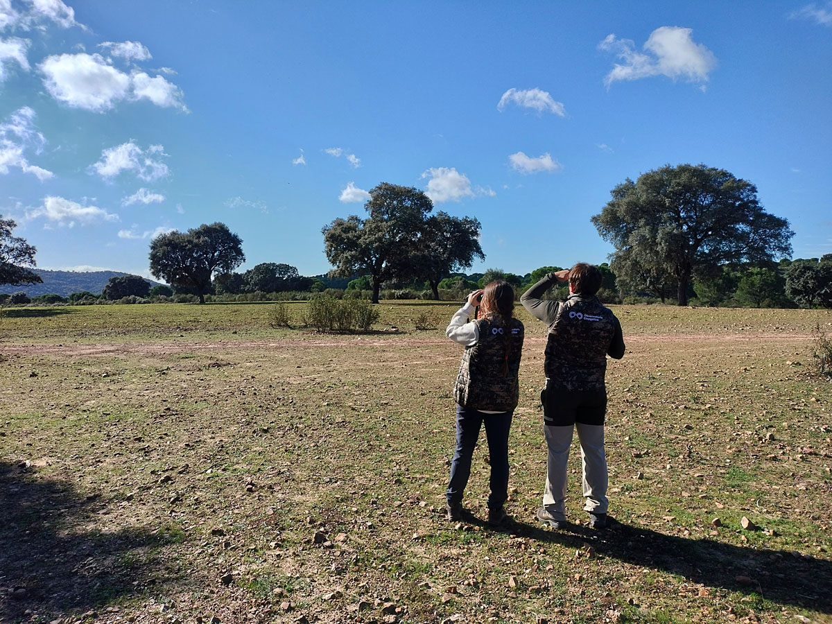 de censos de cinegético