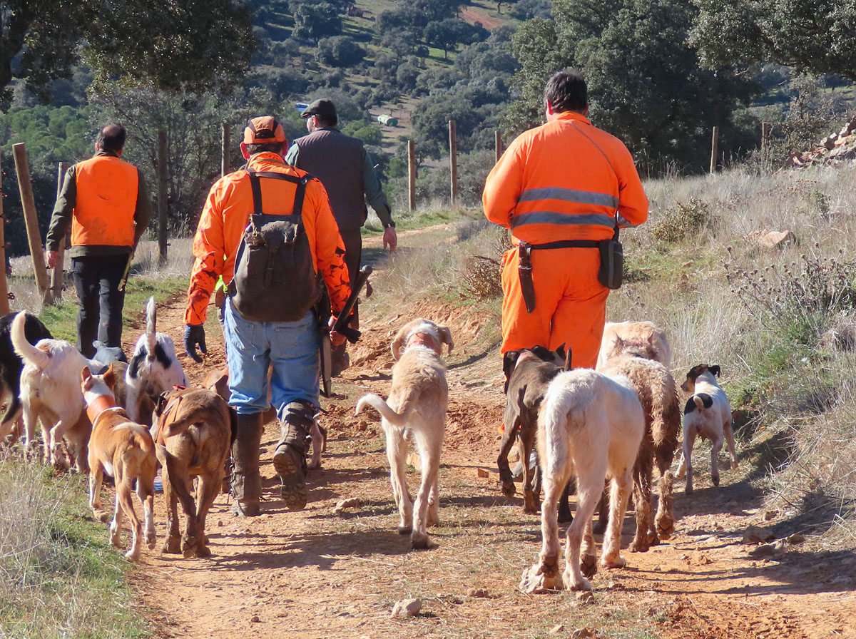 de perros y Caza