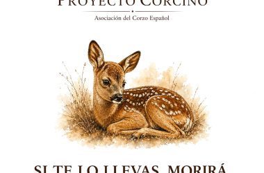 el Proyecto Corcino corzo