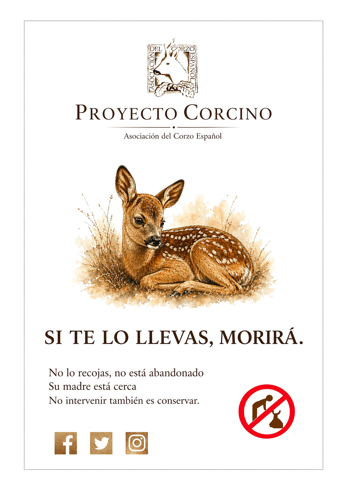 el Proyecto Corcino corzo