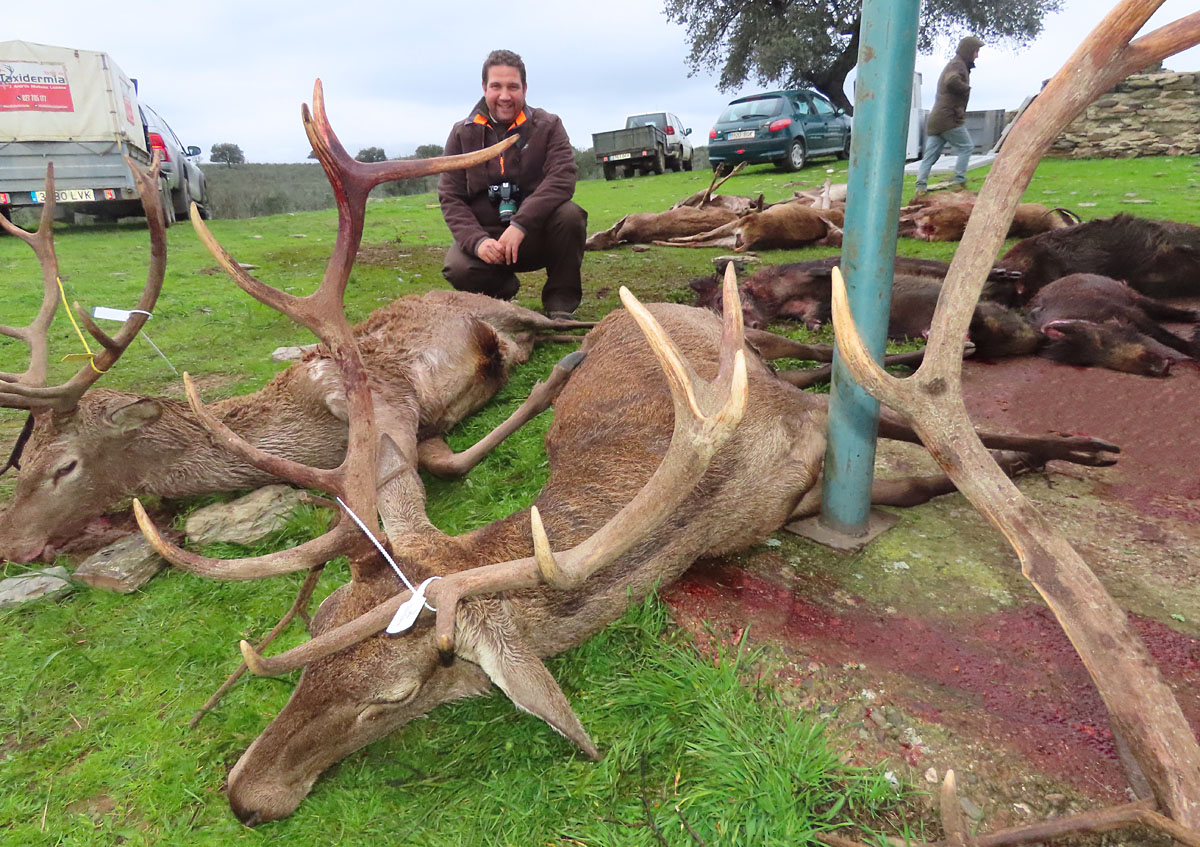 en Hornitos Cinegética de Alcántara