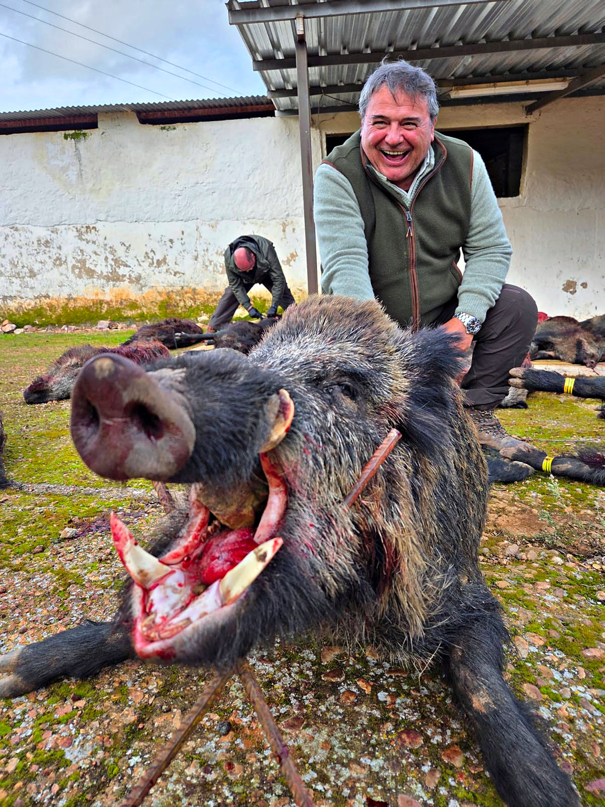 la Sierra de jabalíes