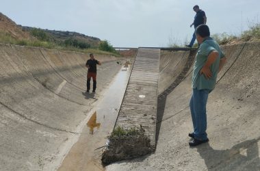 los canales de Artemisan