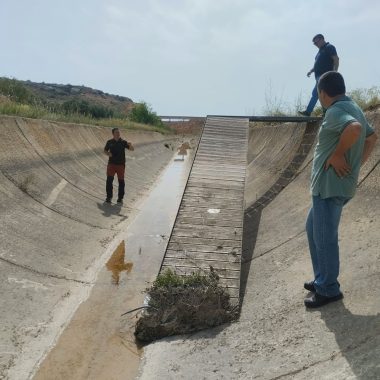 los canales de Artemisan