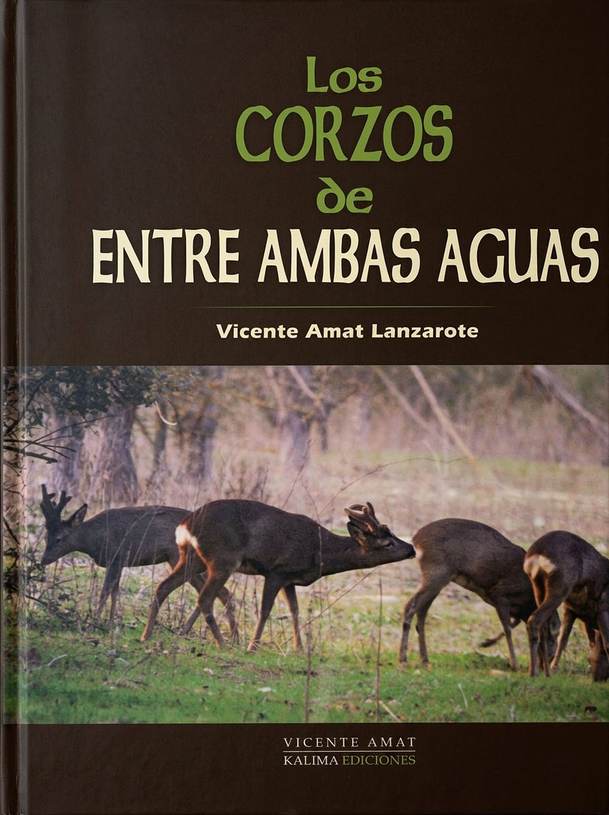 Los corzos de Amat