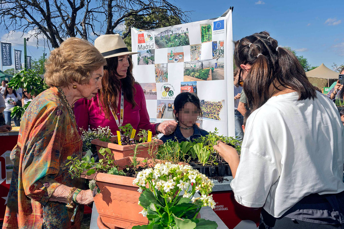 en SICampo actividades