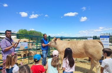en SICampo actividades