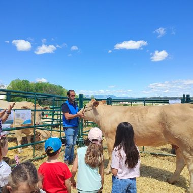 en SICampo actividades