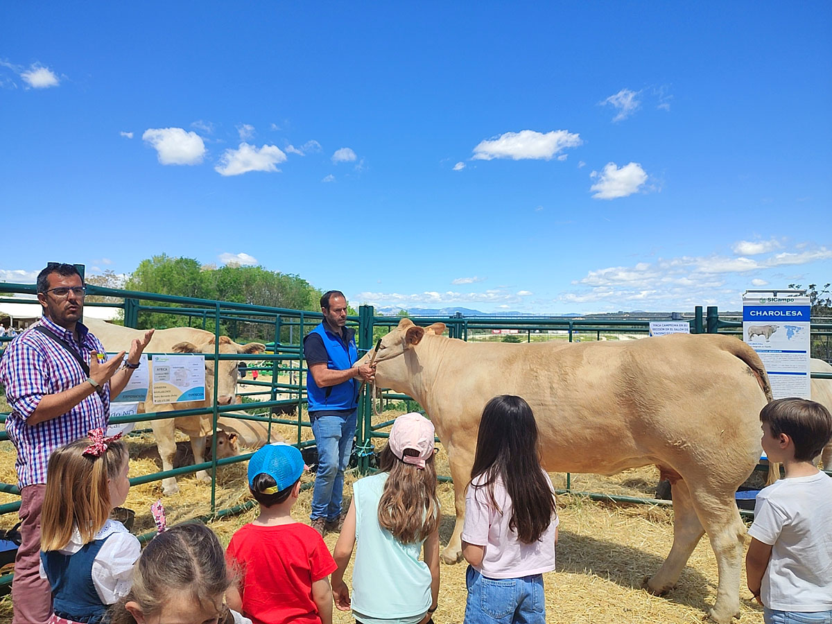 en SICampo actividades
