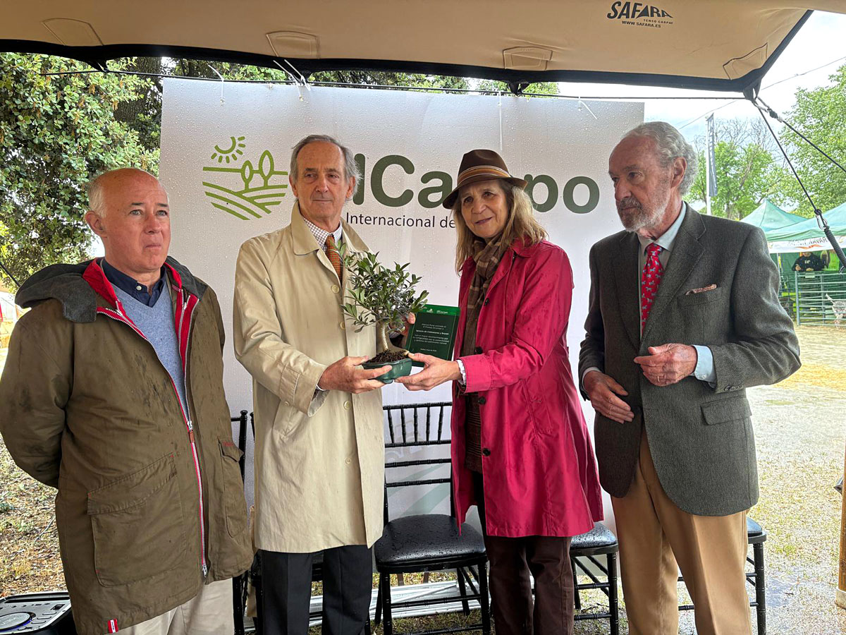 rural en SICampo Caza