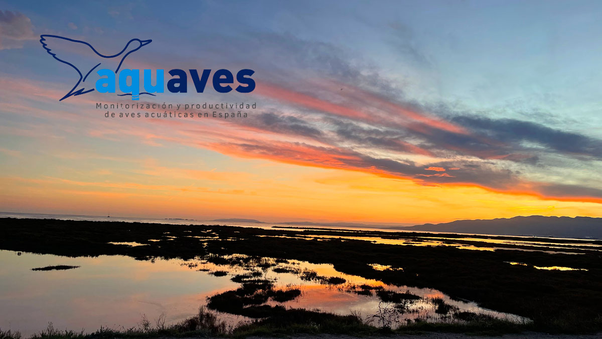 AQUAVES Mutuasport
