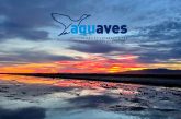 AQUAVES Mutuasport